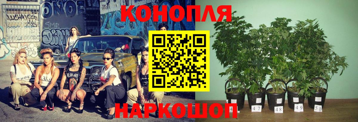 Каннабис Bruce Banner  Бошки марихуана Ganja  Вход с VPN  Чернушка  Шишки марихуана LSD WEED  Конопля OG Kush 